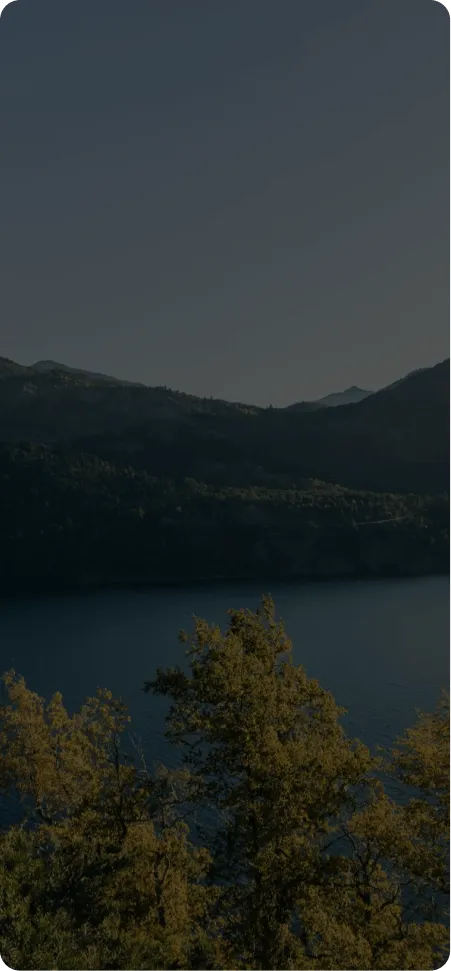 Fondo Datos